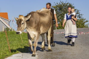 Appenzell, Appenzell Ausserrohden, Appenzeller Hinterland, Brauchtum, Landwirtschaft, Ostschweiz, Schweiz, Stein, Suisse, Switzerland, Tracht, Viehschau, Wirtschaft, tradition