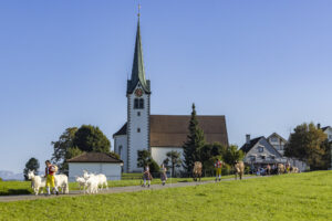 Appenzell, Appenzell Ausserrohden, Appenzeller Hinterland, Brauchtum, Landwirtschaft, Ostschweiz, Schweiz, Stein, Suisse, Switzerland, Tracht, Viehschau, Wirtschaft, tradition