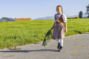 Appenzell, Appenzell Ausserrohden, Appenzeller Hinterland, Brauchtum, Landwirtschaft, Ostschweiz, Schweiz, Stein, Suisse, Switzerland, Tracht, Viehschau, Wirtschaft, tradition