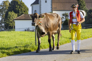 Appenzell, Appenzell Ausserrohden, Appenzeller Hinterland, Brauchtum, Landwirtschaft, Ostschweiz, Schweiz, Stein, Suisse, Switzerland, Tracht, Viehschau, Wirtschaft, tradition