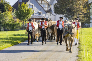 Appenzell, Appenzell Ausserrohden, Appenzeller Hinterland, Brauchtum, Landwirtschaft, Ostschweiz, Schweiz, Stein, Suisse, Switzerland, Tracht, Viehschau, Wirtschaft, tradition