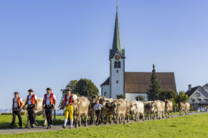 Appenzell, Appenzell Ausserrohden, Appenzeller Hinterland, Brauchtum, Landwirtschaft, Ostschweiz, Schweiz, Stein, Suisse, Switzerland, Tracht, Viehschau, Wirtschaft, tradition