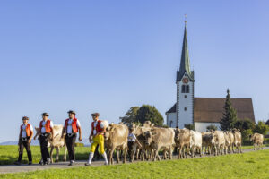 Appenzell, Appenzell Ausserrohden, Appenzeller Hinterland, Brauchtum, Landwirtschaft, Ostschweiz, Schweiz, Stein, Suisse, Switzerland, Tracht, Viehschau, Wirtschaft, tradition