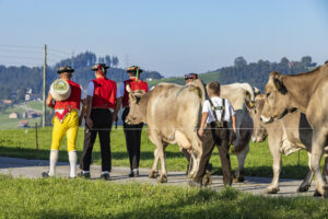 Appenzell, Appenzell Ausserrohden, Appenzeller Hinterland, Brauchtum, Landwirtschaft, Ostschweiz, Schweiz, Stein, Suisse, Switzerland, Tracht, Viehschau, Wirtschaft, tradition