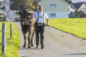 Appenzell, Appenzell Ausserrohden, Appenzeller Hinterland, Brauchtum, Landwirtschaft, Ostschweiz, Schweiz, Stein, Suisse, Switzerland, Tracht, Viehschau, Wirtschaft, tradition