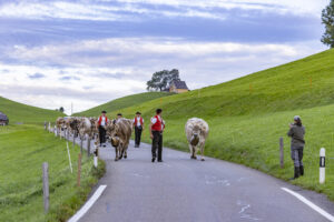 Appenzell, Appenzell Ausserrohden, Appenzeller Hinterland, Autumn, Brauchtum, Fall, Herbst, Kühe, Ostschweiz, Schweiz, Sennen, Suisse, Switzerland, Tracht, Urnaesch, Urnäsch, Viehschau, tradition