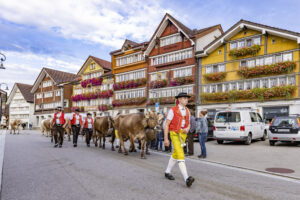 Appenzell, Appenzell Ausserrohden, Appenzeller Hinterland, Autumn, Brauchtum, Fall, Herbst, Kühe, Ostschweiz, Schweiz, Sennen, Suisse, Switzerland, Tracht, Urnaesch, Urnäsch, Viehschau, tradition