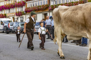 Appenzell, Appenzell Ausserrohden, Appenzeller Hinterland, Autumn, Brauchtum, Fall, Herbst, Kühe, Ostschweiz, Schweiz, Sennen, Suisse, Switzerland, Tracht, Urnaesch, Urnäsch, Viehschau, tradition