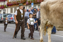 Appenzell, Appenzell Ausserrohden, Appenzeller Hinterland, Autumn, Brauchtum, Fall, Herbst, Kühe, Ostschweiz, Schweiz, Sennen, Suisse, Switzerland, Tracht, Urnaesch, Urnäsch, Viehschau, tradition