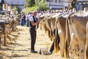 Appenzell, Appenzell Ausserrohden, Appenzeller Hinterland, Autumn, Brauchtum, Fall, Herbst, Kühe, Ostschweiz, Schweiz, Sennen, Suisse, Switzerland, Tracht, Urnaesch, Urnäsch, Viehschau, tradition