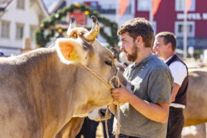 Appenzell, Appenzell Ausserrohden, Appenzeller Hinterland, Autumn, Brauchtum, Fall, Herbst, Ostschweiz, Schweiz, Sennen, Suisse, Switzerland, Tracht, Urnaesch, Urnäsch, Viehschau, tradition