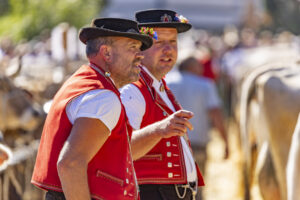 Appenzell, Appenzell Ausserrohden, Appenzeller Hinterland, Autumn, Brauchtum, Fall, Herbst, Ostschweiz, Schweiz, Sennen, Suisse, Switzerland, Tracht, Urnaesch, Urnäsch, Viehschau, tradition