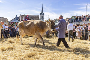 Appenzell, Appenzell Ausserrohden, Appenzeller Hinterland, Autumn, Brauchtum, Fall, Herbst, Kühe, Ostschweiz, Schweiz, Sennen, Suisse, Switzerland, Tracht, Urnaesch, Urnäsch, Viehschau, tradition