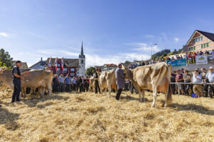 Appenzell, Appenzell Ausserrohden, Appenzeller Hinterland, Autumn, Brauchtum, Fall, Herbst, Kühe, Ostschweiz, Schweiz, Sennen, Suisse, Switzerland, Tracht, Urnaesch, Urnäsch, Viehschau, tradition