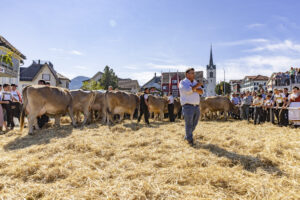 Appenzell, Appenzell Ausserrohden, Appenzeller Hinterland, Autumn, Brauchtum, Fall, Herbst, Kühe, Ostschweiz, Schweiz, Sennen, Suisse, Switzerland, Tracht, Urnaesch, Urnäsch, Viehschau, tradition