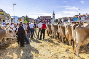 Appenzell, Appenzell Ausserrohden, Appenzeller Hinterland, Autumn, Brauchtum, Fall, Herbst, Kühe, Ostschweiz, Schweiz, Sennen, Suisse, Switzerland, Tracht, Urnaesch, Urnäsch, Viehschau, tradition