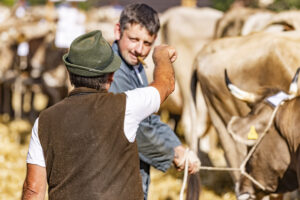 Appenzell, Appenzell Ausserrohden, Appenzeller Hinterland, Autumn, Brauchtum, Fall, Herbst, Kühe, Ostschweiz, Schweiz, Sennen, Suisse, Switzerland, Tracht, Urnaesch, Urnäsch, Viehschau, tradition