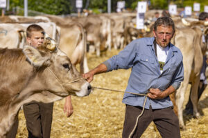 Appenzell, Appenzell Ausserrohden, Appenzeller Hinterland, Autumn, Brauchtum, Fall, Herbst, Kühe, Ostschweiz, Schweiz, Sennen, Suisse, Switzerland, Tracht, Urnaesch, Urnäsch, Viehschau, tradition