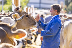 Appenzell, Appenzell Ausserrohden, Appenzeller Hinterland, Autumn, Brauchtum, Fall, Herbst, Kühe, Ostschweiz, Schweiz, Sennen, Suisse, Switzerland, Tracht, Urnaesch, Urnäsch, Viehschau, tradition