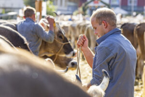 Appenzell, Appenzell Ausserrohden, Appenzeller Hinterland, Autumn, Brauchtum, Fall, Herbst, Kühe, Ostschweiz, Schweiz, Sennen, Suisse, Switzerland, Tracht, Urnaesch, Urnäsch, Viehschau, tradition