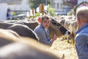 Appenzell, Appenzell Ausserrohden, Appenzeller Hinterland, Autumn, Brauchtum, Fall, Herbst, Kühe, Ostschweiz, Schweiz, Sennen, Suisse, Switzerland, Tracht, Urnaesch, Urnäsch, Viehschau, tradition