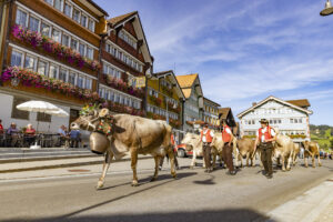 Appenzell, Appenzell Ausserrohden, Appenzeller Hinterland, Autumn, Brauchtum, Fall, Herbst, Kühe, Ostschweiz, Schweiz, Sennen, Suisse, Switzerland, Tracht, Urnaesch, Urnäsch, Viehschau, tradition