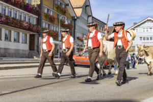 Appenzell, Appenzell Ausserrohden, Appenzeller Hinterland, Autumn, Brauchtum, Fall, Herbst, Kühe, Ostschweiz, Schweiz, Sennen, Suisse, Switzerland, Tracht, Urnaesch, Urnäsch, Viehschau, tradition