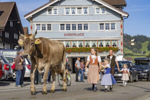 Appenzell, Appenzell Ausserrohden, Appenzeller Hinterland, Autumn, Brauchtum, Fall, Herbst, Kühe, Ostschweiz, Schweiz, Sennen, Suisse, Switzerland, Tracht, Urnaesch, Urnäsch, Viehschau, tradition