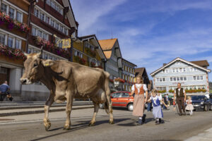 Appenzell, Appenzell Ausserrohden, Appenzeller Hinterland, Autumn, Brauchtum, Fall, Herbst, Kühe, Ostschweiz, Schweiz, Sennen, Suisse, Switzerland, Tracht, Urnaesch, Urnäsch, Viehschau, tradition