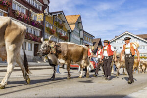 Appenzell, Appenzell Ausserrohden, Appenzeller Hinterland, Autumn, Brauchtum, Fall, Herbst, Kühe, Ostschweiz, Schweiz, Sennen, Suisse, Switzerland, Tracht, Urnaesch, Urnäsch, Viehschau, tradition