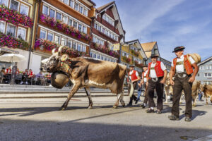 Appenzell, Appenzell Ausserrohden, Appenzeller Hinterland, Autumn, Brauchtum, Fall, Herbst, Kühe, Ostschweiz, Schweiz, Sennen, Suisse, Switzerland, Tracht, Urnaesch, Urnäsch, Viehschau, tradition