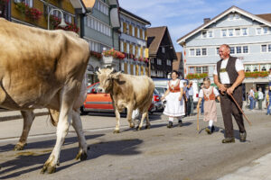 Appenzell, Appenzell Ausserrohden, Appenzeller Hinterland, Autumn, Brauchtum, Fall, Herbst, Kühe, Ostschweiz, Schweiz, Sennen, Suisse, Switzerland, Tracht, Urnaesch, Urnäsch, Viehschau, tradition