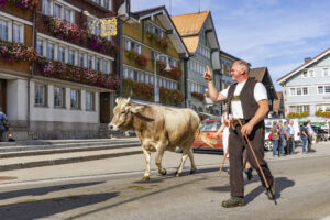 Appenzell, Appenzell Ausserrohden, Appenzeller Hinterland, Autumn, Brauchtum, Fall, Herbst, Kühe, Ostschweiz, Schweiz, Sennen, Suisse, Switzerland, Tracht, Urnaesch, Urnäsch, Viehschau, tradition