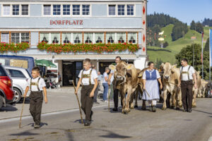 Appenzell, Appenzell Ausserrohden, Appenzeller Hinterland, Autumn, Brauchtum, Fall, Herbst, Kühe, Ostschweiz, Schweiz, Sennen, Suisse, Switzerland, Tracht, Urnaesch, Urnäsch, Viehschau, tradition