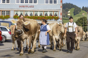 Appenzell, Appenzell Ausserrohden, Appenzeller Hinterland, Autumn, Brauchtum, Fall, Herbst, Kühe, Ostschweiz, Schweiz, Sennen, Suisse, Switzerland, Tracht, Urnaesch, Urnäsch, Viehschau, tradition