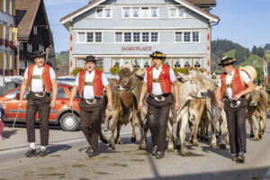 Appenzell, Appenzell Ausserrohden, Appenzeller Hinterland, Autumn, Brauchtum, Fall, Herbst, Kühe, Ostschweiz, Schweiz, Sennen, Suisse, Switzerland, Tracht, Urnaesch, Urnäsch, Viehschau, tradition