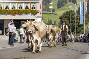 Appenzell, Appenzell Ausserrohden, Appenzeller Hinterland, Autumn, Brauchtum, Fall, Herbst, Kühe, Ostschweiz, Schweiz, Sennen, Suisse, Switzerland, Tracht, Urnaesch, Urnäsch, Viehschau, tradition