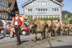 Appenzell, Appenzell Ausserrohden, Appenzeller Hinterland, Autumn, Brauchtum, Fall, Herbst, Kühe, Ostschweiz, Schweiz, Sennen, Suisse, Switzerland, Tracht, Urnaesch, Urnäsch, Viehschau, tradition