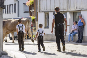 Appenzell, Appenzell Ausserrohden, Appenzeller Hinterland, Autumn, Brauchtum, Fall, Herbst, Kühe, Ostschweiz, Schweiz, Sennen, Suisse, Switzerland, Tracht, Urnaesch, Urnäsch, Viehschau, tradition