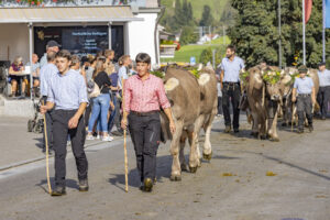 Appenzell, Appenzell Ausserrohden, Appenzeller Hinterland, Autumn, Brauchtum, Fall, Herbst, Kühe, Ostschweiz, Schweiz, Sennen, Suisse, Switzerland, Tracht, Urnaesch, Urnäsch, Viehschau, tradition