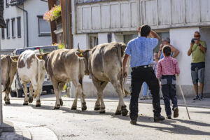 Appenzell, Appenzell Ausserrohden, Appenzeller Hinterland, Autumn, Brauchtum, Fall, Herbst, Kühe, Ostschweiz, Schweiz, Sennen, Suisse, Switzerland, Tracht, Urnaesch, Urnäsch, Viehschau, tradition