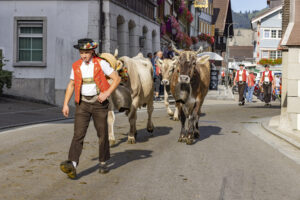 Appenzell, Appenzell Ausserrohden, Appenzeller Hinterland, Autumn, Brauchtum, Fall, Herbst, Kühe, Ostschweiz, Schweiz, Sennen, Suisse, Switzerland, Tracht, Urnaesch, Urnäsch, Viehschau, tradition