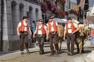 Appenzell, Appenzell Ausserrohden, Appenzeller Hinterland, Autumn, Brauchtum, Fall, Herbst, Kühe, Ostschweiz, Schweiz, Sennen, Suisse, Switzerland, Tracht, Urnaesch, Urnäsch, Viehschau, tradition