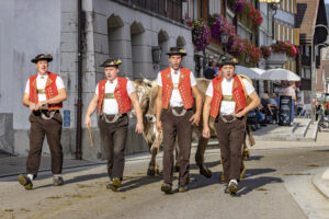 Appenzell, Appenzell Ausserrohden, Appenzeller Hinterland, Autumn, Brauchtum, Fall, Herbst, Kühe, Ostschweiz, Schweiz, Sennen, Suisse, Switzerland, Tracht, Urnaesch, Urnäsch, Viehschau, tradition