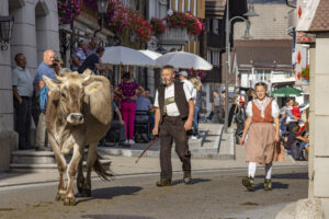 Appenzell, Appenzell Ausserrohden, Appenzeller Hinterland, Autumn, Brauchtum, Fall, Herbst, Kühe, Ostschweiz, Schweiz, Sennen, Suisse, Switzerland, Tracht, Urnaesch, Urnäsch, Viehschau, tradition