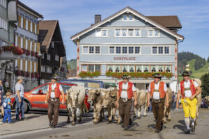 Appenzell, Appenzell Ausserrohden, Appenzeller Hinterland, Autumn, Brauchtum, Fall, Herbst, Kühe, Ostschweiz, Schweiz, Sennen, Suisse, Switzerland, Tracht, Urnaesch, Urnäsch, Viehschau, tradition