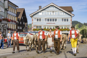 Appenzell, Appenzell Ausserrohden, Appenzeller Hinterland, Autumn, Brauchtum, Fall, Herbst, Kühe, Ostschweiz, Schweiz, Sennen, Suisse, Switzerland, Tracht, Urnaesch, Urnäsch, Viehschau, tradition