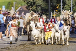 Appenzell, Appenzell Ausserrohden, Appenzeller Hinterland, Autumn, Brauchtum, Fall, Herbst, Kühe, Ostschweiz, Schweiz, Sennen, Suisse, Switzerland, Tracht, Urnaesch, Urnäsch, Viehschau, tradition