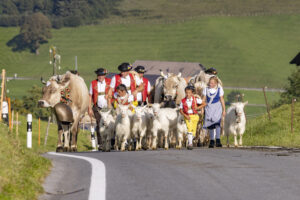 Appenzell, Appenzell Ausserrohden, Appenzeller Hinterland, Autumn, Brauchtum, Fall, Herbst, Kühe, Ostschweiz, Schweiz, Sennen, Suisse, Switzerland, Tracht, Urnaesch, Urnäsch, Viehschau, tradition