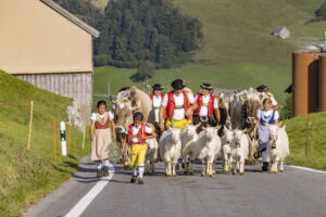 Appenzell, Appenzell Ausserrohden, Appenzeller Hinterland, Autumn, Brauchtum, Fall, Herbst, Kühe, Ostschweiz, Schweiz, Sennen, Suisse, Switzerland, Tracht, Urnaesch, Urnäsch, Viehschau, tradition